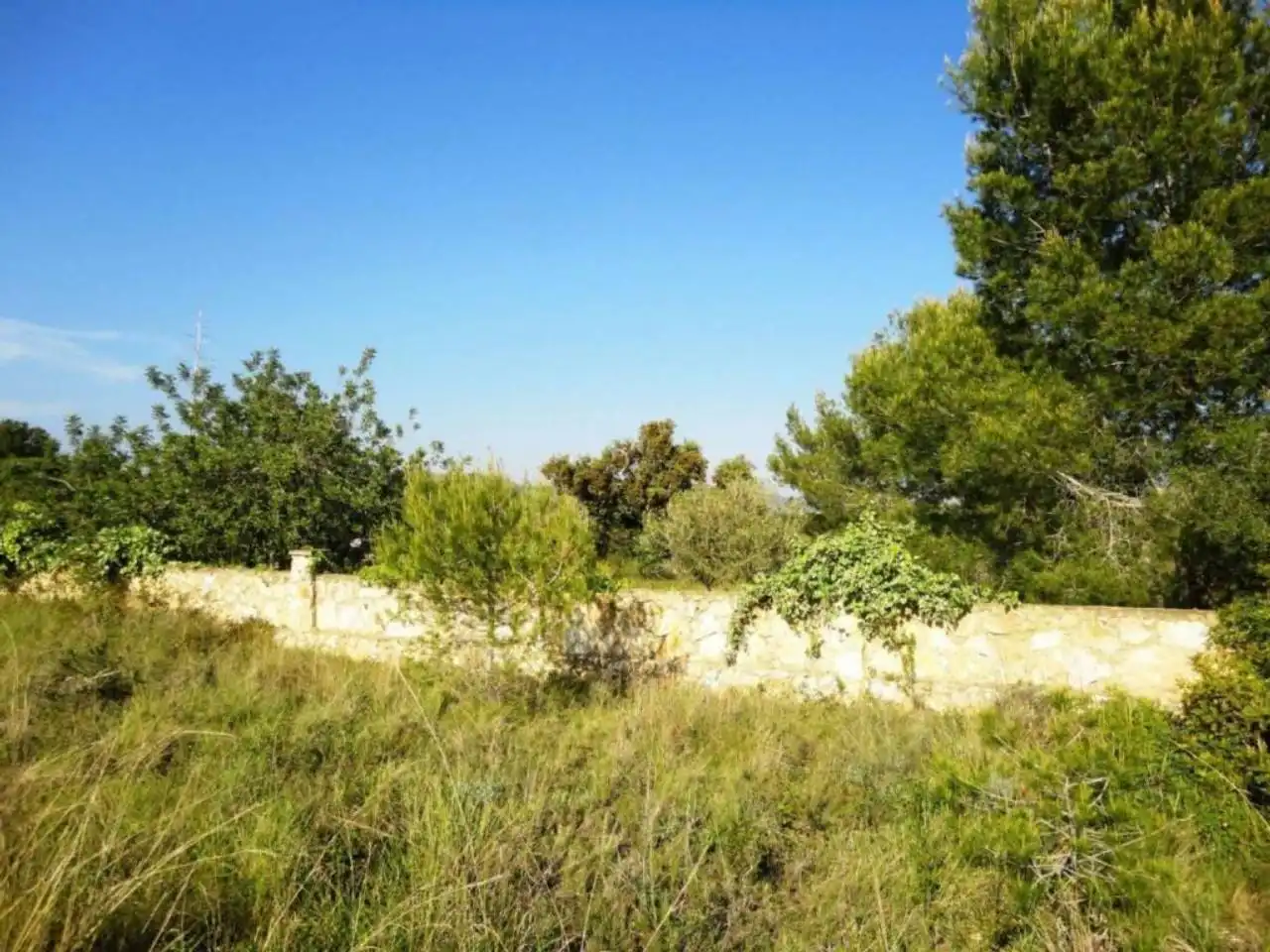 Terreny residencial en venda a Carretera Clarà 00, imagen 13