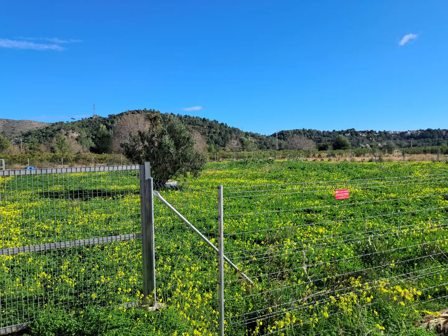 Terreno residencial en venta en Calle San Vicente 2011, imagen 2