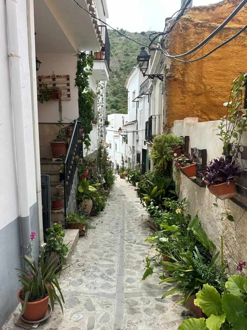 Vista exterior de Finca rústica en venta en Sierro con Terraza y Balcón