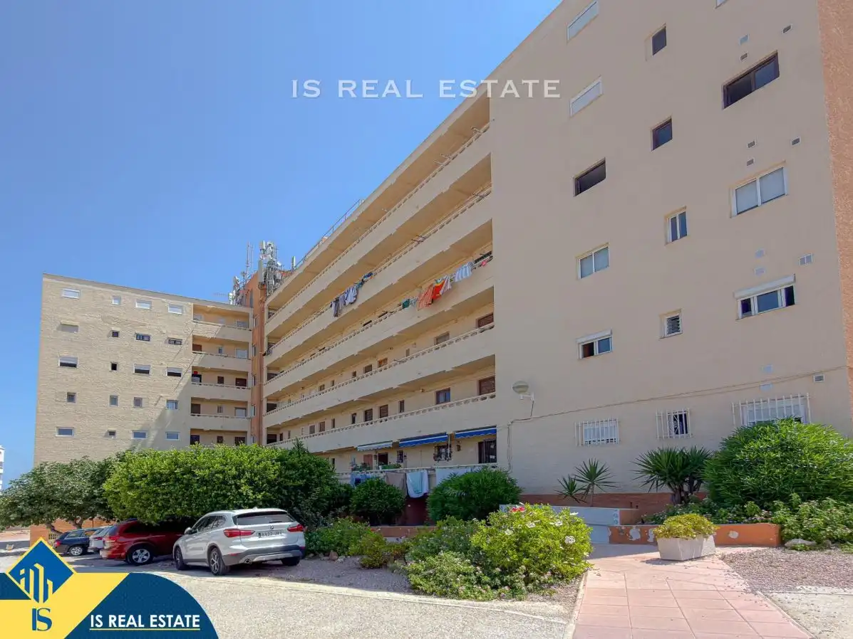 Vista exterior de Estudi en venda en Torrevieja amb Calefacció, Terrassa i Moblat