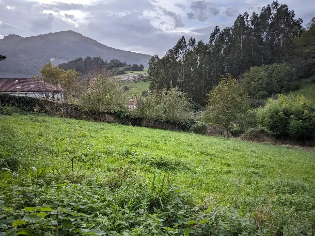 Casa con terrazza in vendita a Cañado, imagen 12