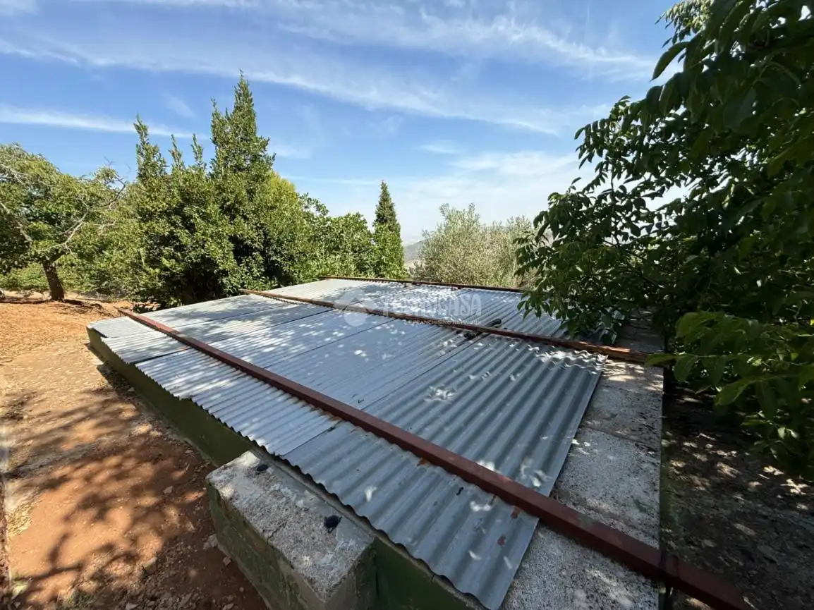 Terrassa de Finca rústica en venda en Jaén amb Jardí privat i Piscina
