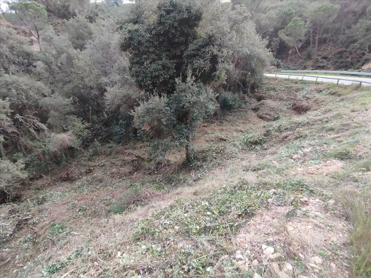 Residential for sale in Santa Cristina d'Aro