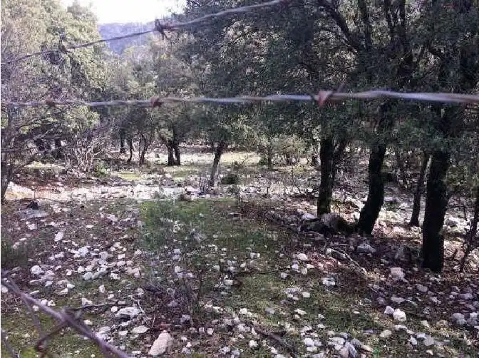 Terreni e lotti in vendita a Pozo Alcón, imagen 2