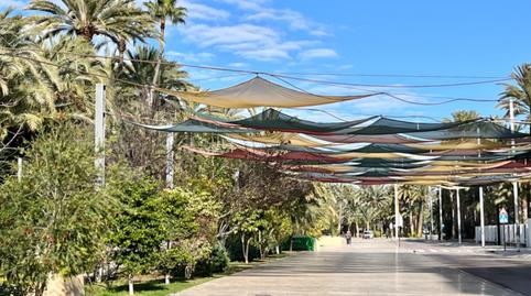 Foto 2 de Planta baixa en venda a Centro, Alicante
