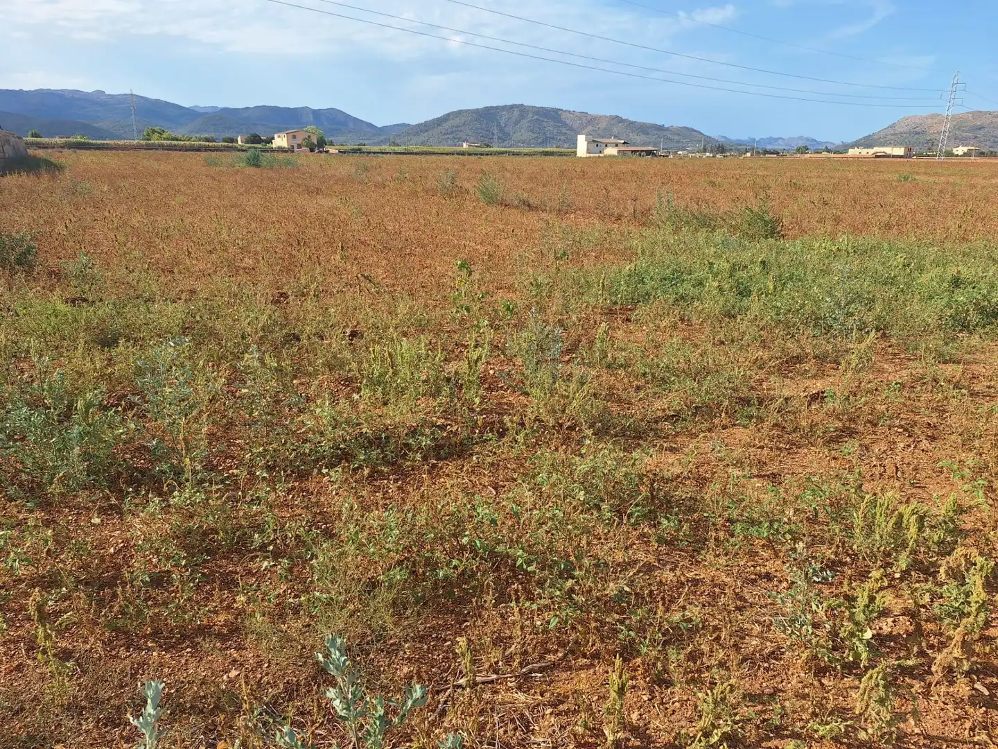 Grundstücke zum Verkauf in Sa Pobla