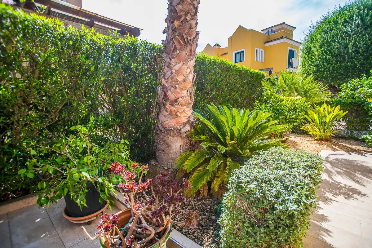 Haus mit Pool zum Verkauf in Los Balcones - Los Altos, imagen 26