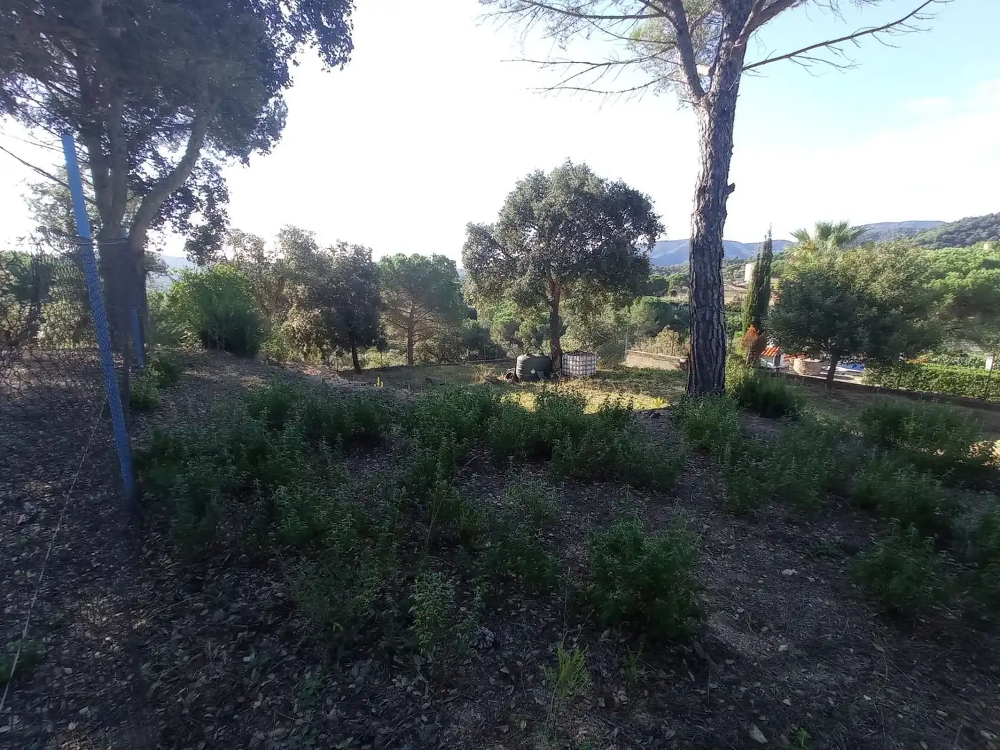 Residential for sale in Tordera