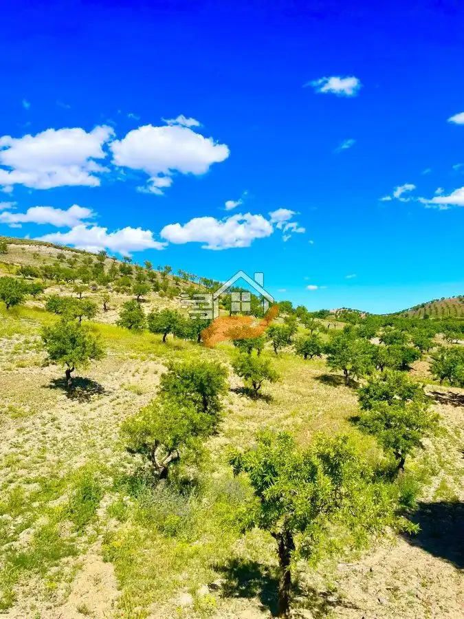 Residential land for sale in Vélez-Rubio, imagen 15