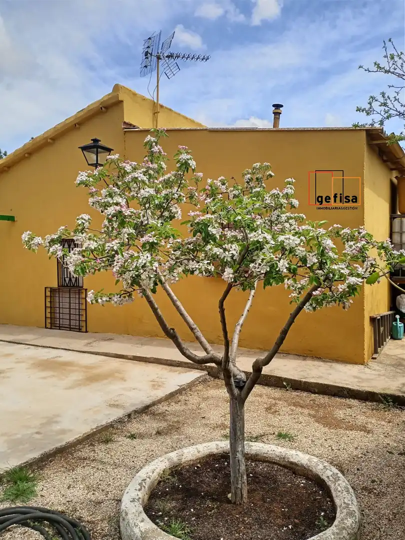 Casa rústica en venda a Valdepeñas, imagen 6