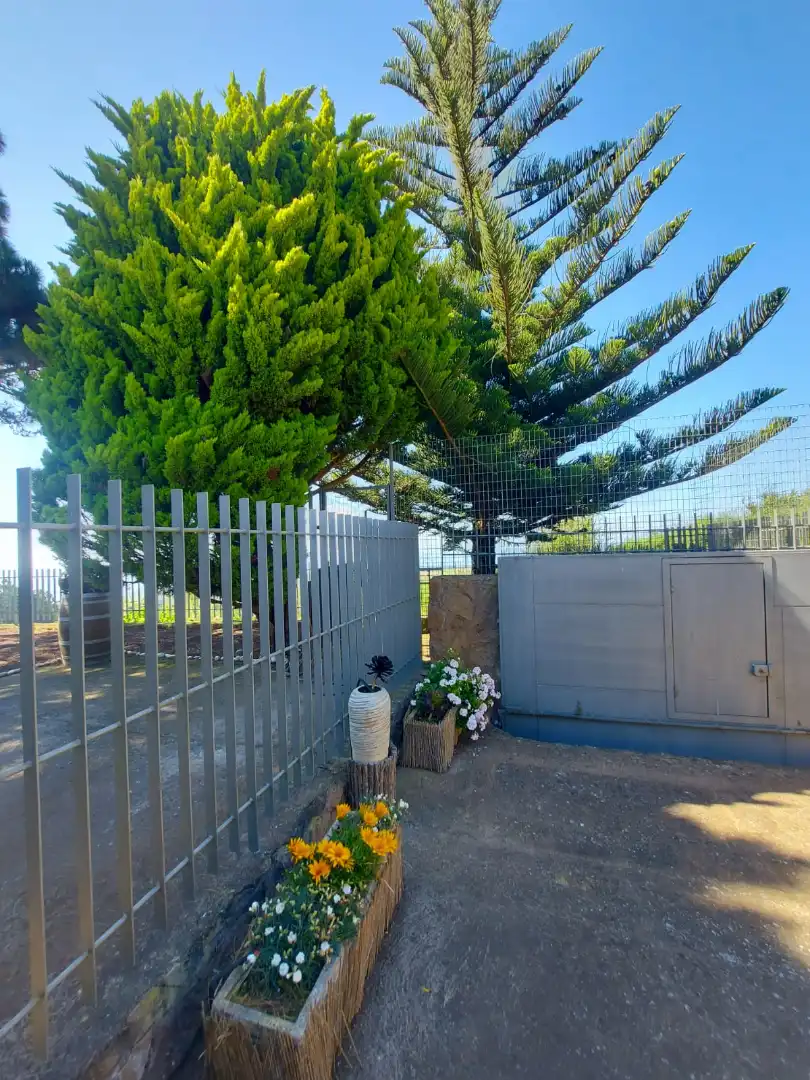 Vista exterior de Casa o xalet en venda en Tacoronte amb Jardí privat, Parquet i Terrassa