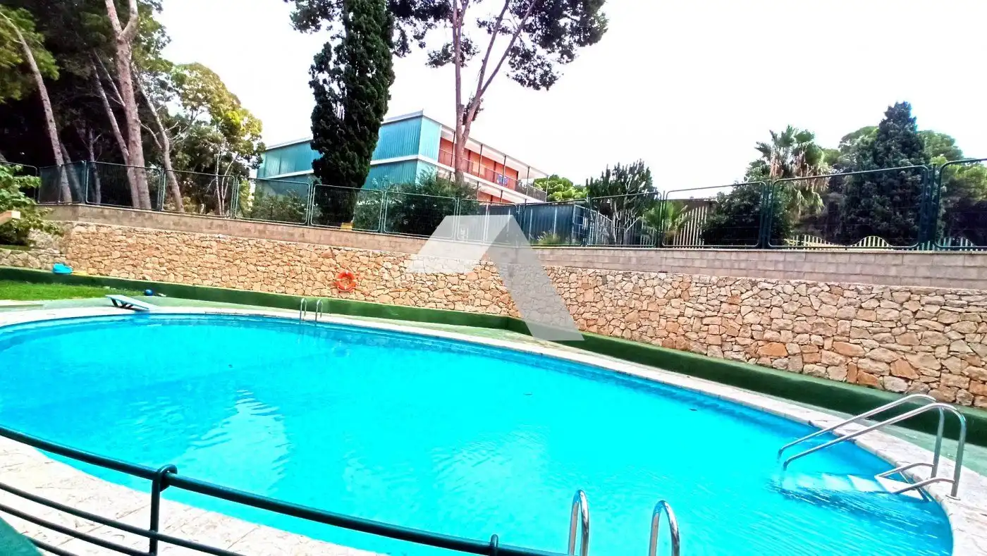 Pis amb piscina en venda a Pla - Carolinas, imagen 15