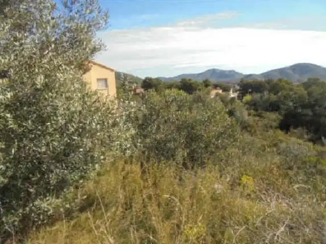 Terreny residencial en venda a El Montmell, imagen 3