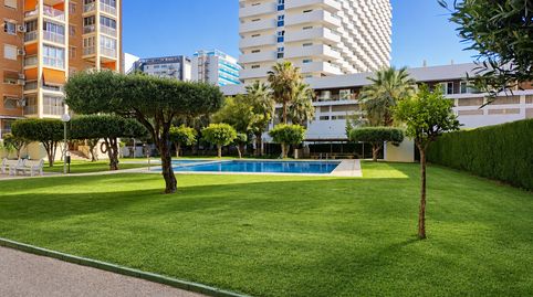 Foto 3 de Piso en venta en Juzgados - Plaza de Toros, Benidorm