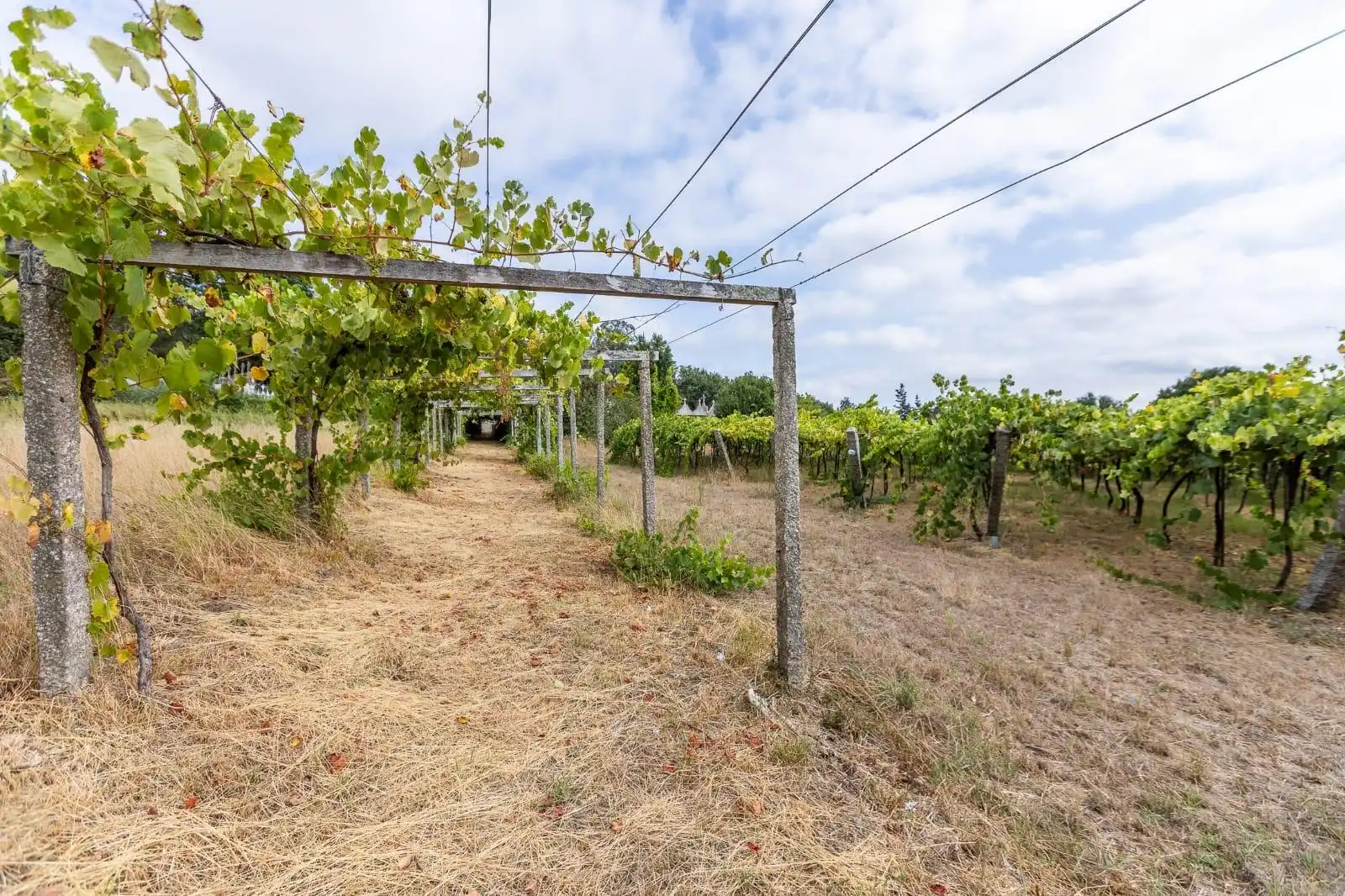 Chalet en venta en Vedra, imagen 49