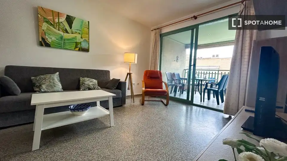 Appartamento con terrazza in affitto a La Patacona, imagen 4