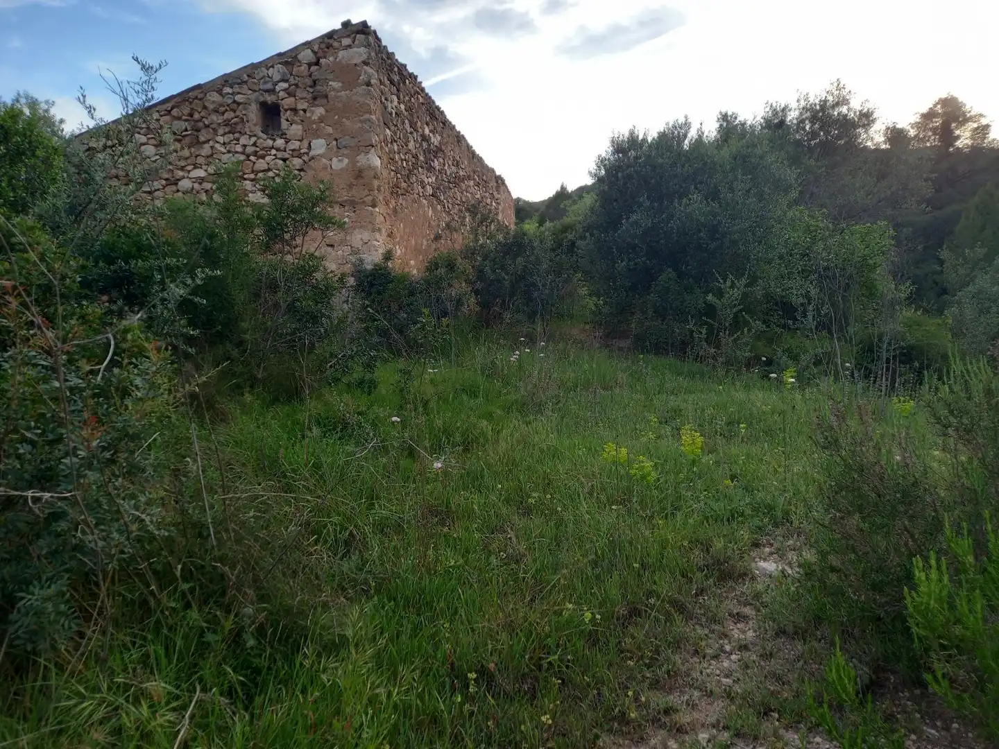 Rural land for sale in El Pinell de Brai, imagen 19