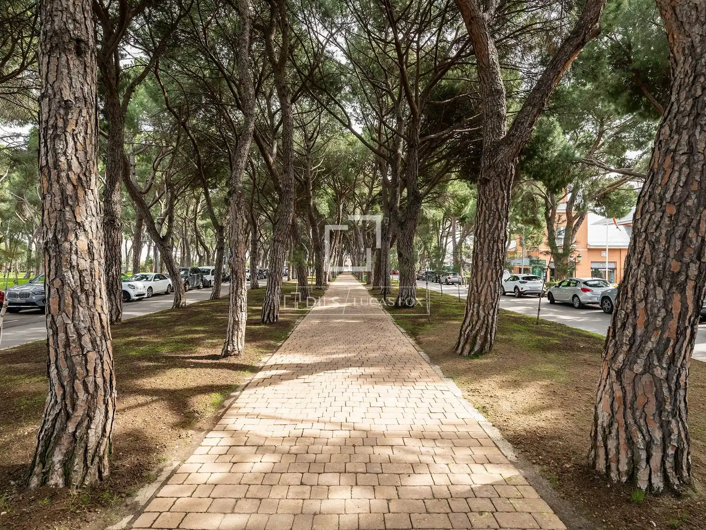 Vista exterior de Casa o xalet en venda en La Moraleja amb Aire condicionat, Calefacció i Jardí privat