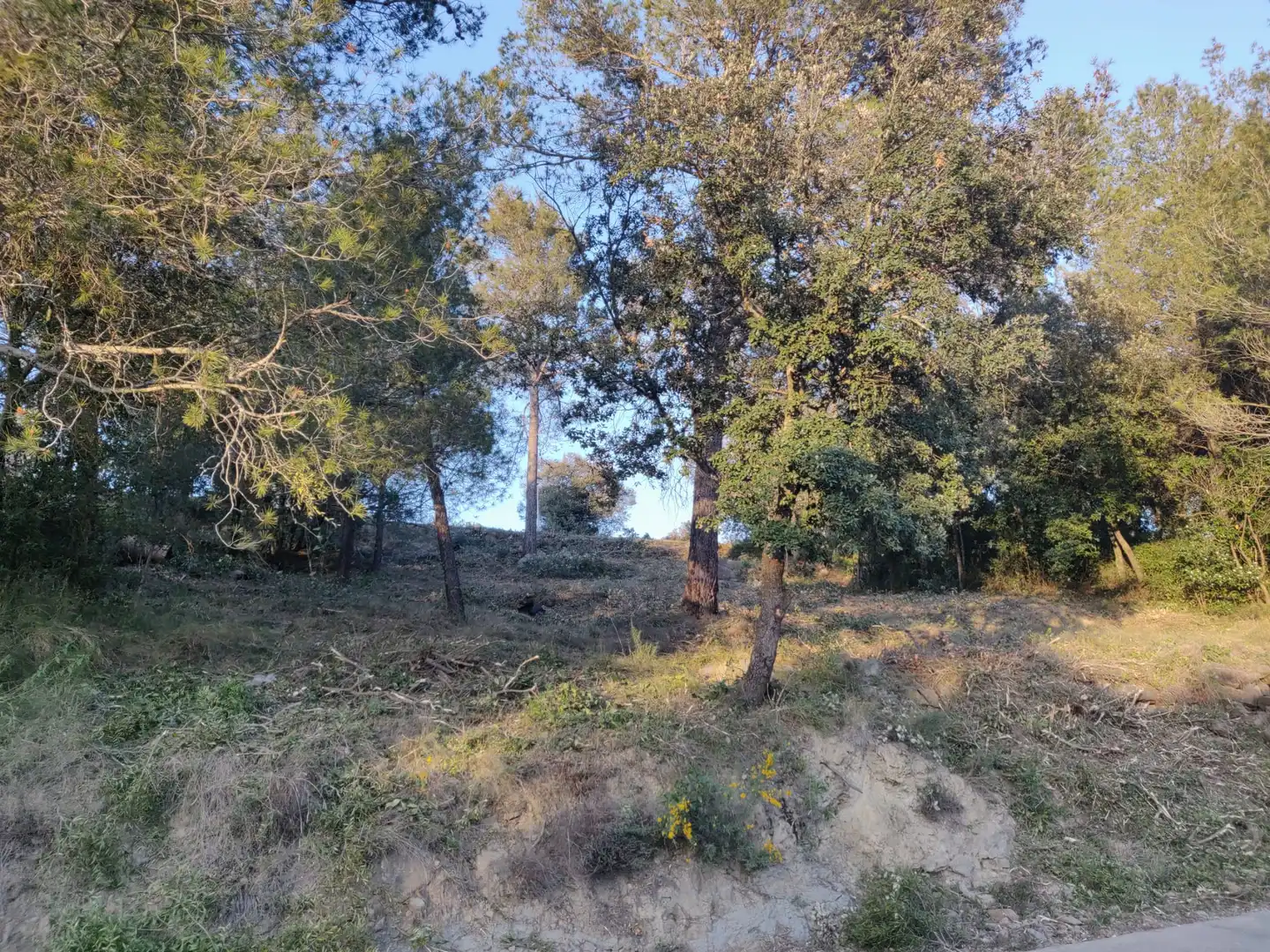 Terreno residencial en venta en Canet d'Adri, imagen 3