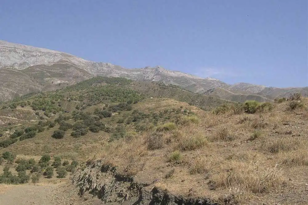 Terreno rústico en venta en Sedella, imagen 5