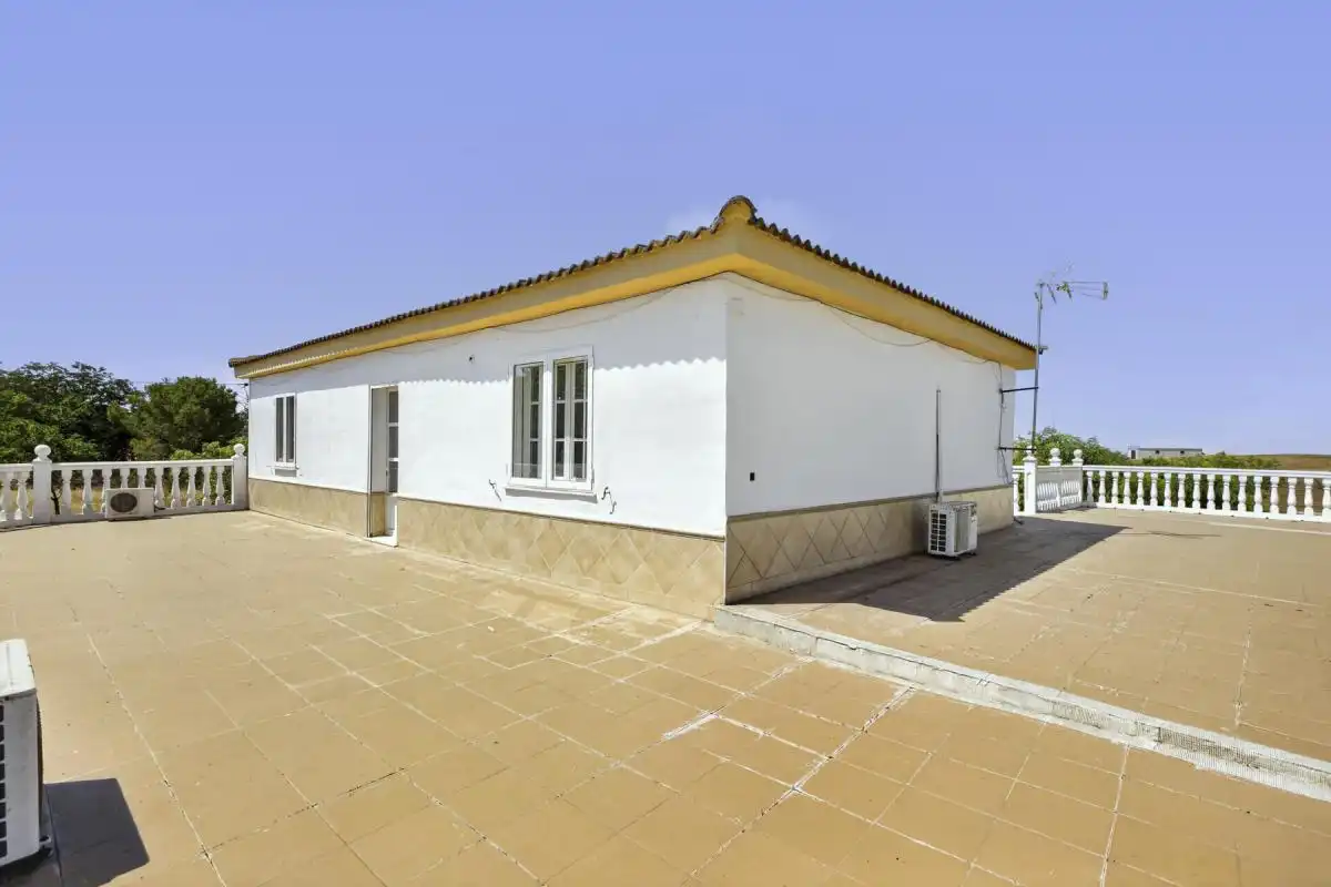 Vista exterior de Casa o xalet en venda en Carmona amb Aire condicionat, Calefacció i Jardí privat