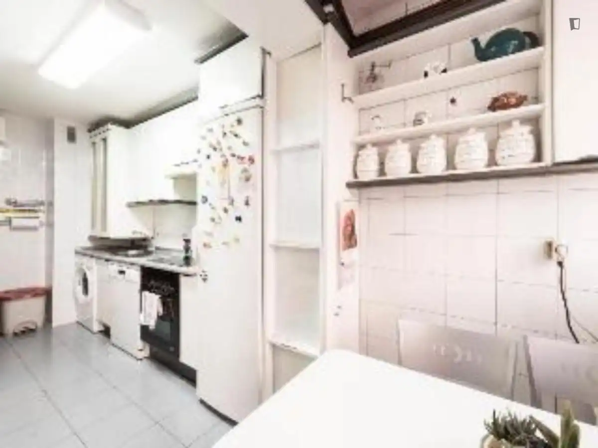 Kitchen of Apartments for rent in Madrid  with Air Conditioner, Heating and Furnished