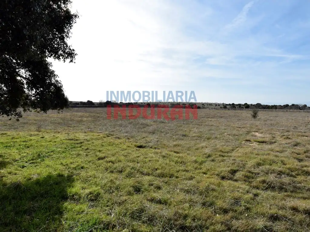 Finca rústica en venta en Calzada de Oropesa