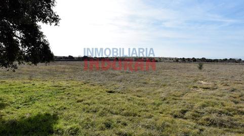 Foto 4 de Finca rústica en venta en N/a, Calzada de Oropesa, Toledo