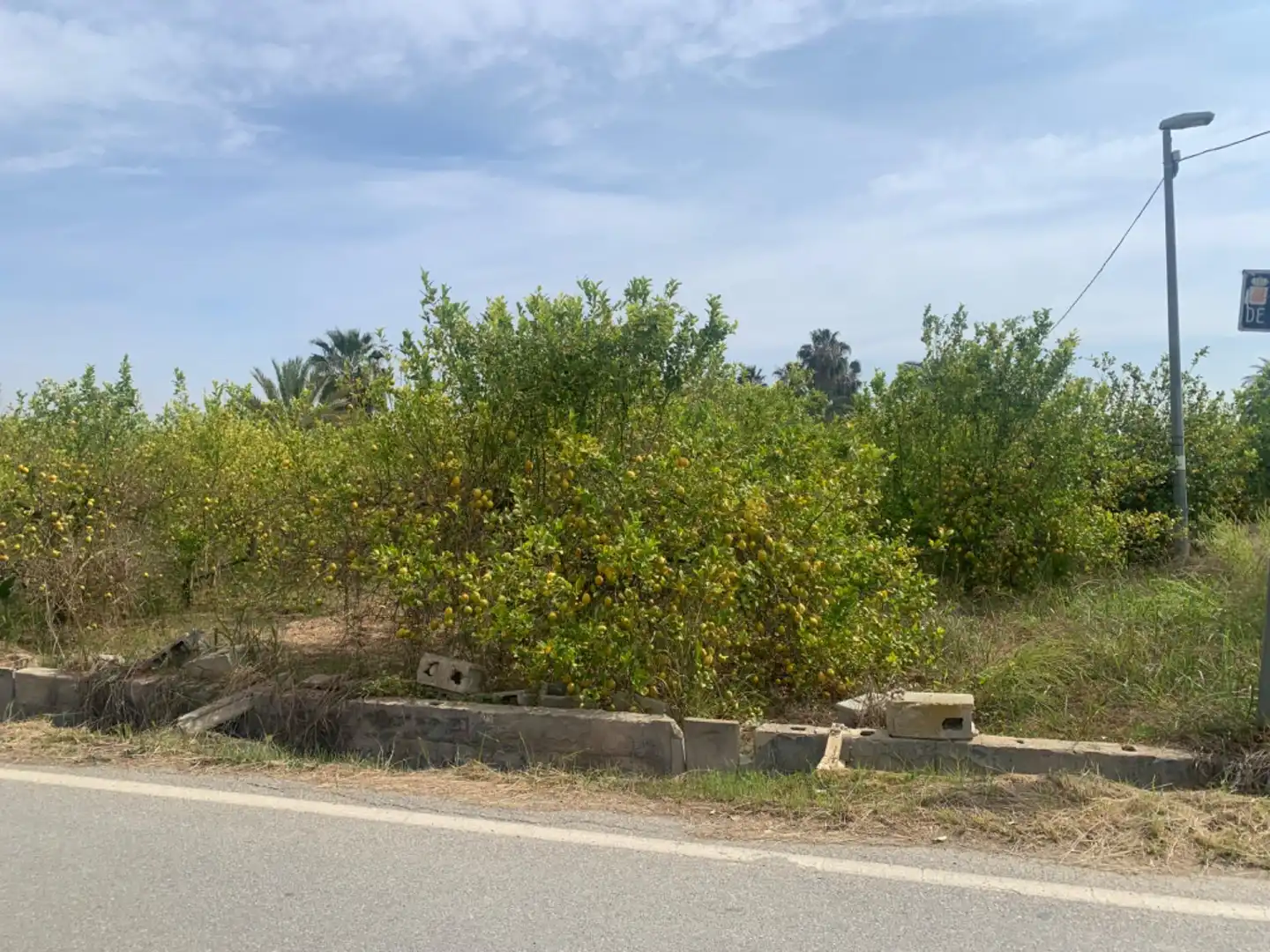 Terrenys i solars en venda a Pedanías Este, imagen 5