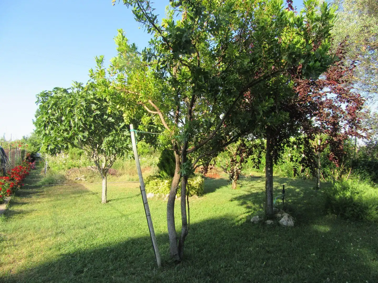 Terreno residenziale in vendita a Calahorra, imagen 14