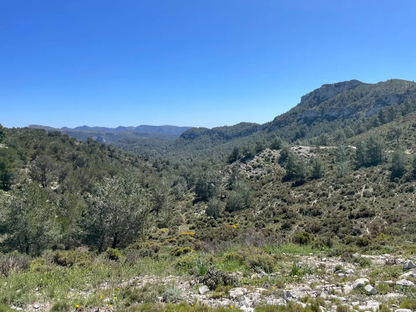 Terrain rustique à vendre à Tivissa, imagen 20