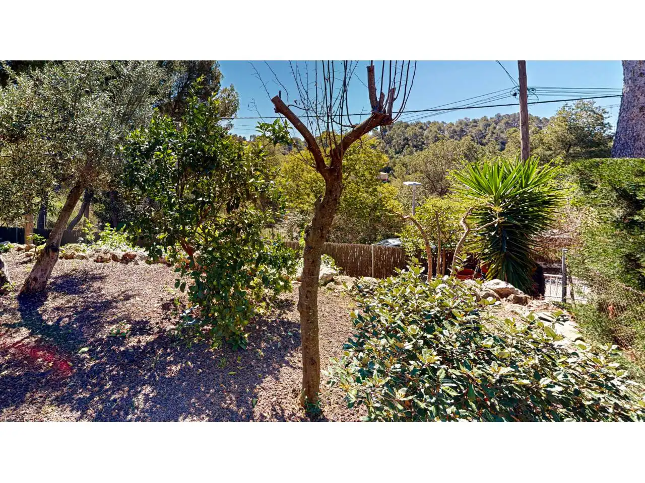 Haus oder Chalet zum Verkauf in Calle Eugeni Valero Ramo, 43, Corbera de Llobregat