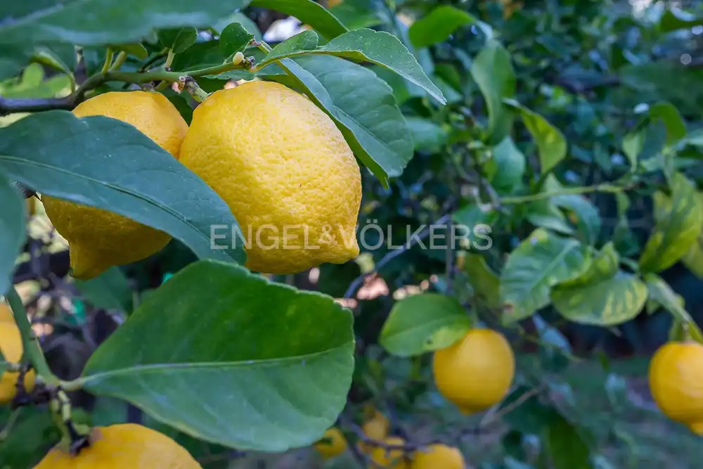 Garden of Houses for sale in Dénia  with Air Conditioner, Heating and Private garden