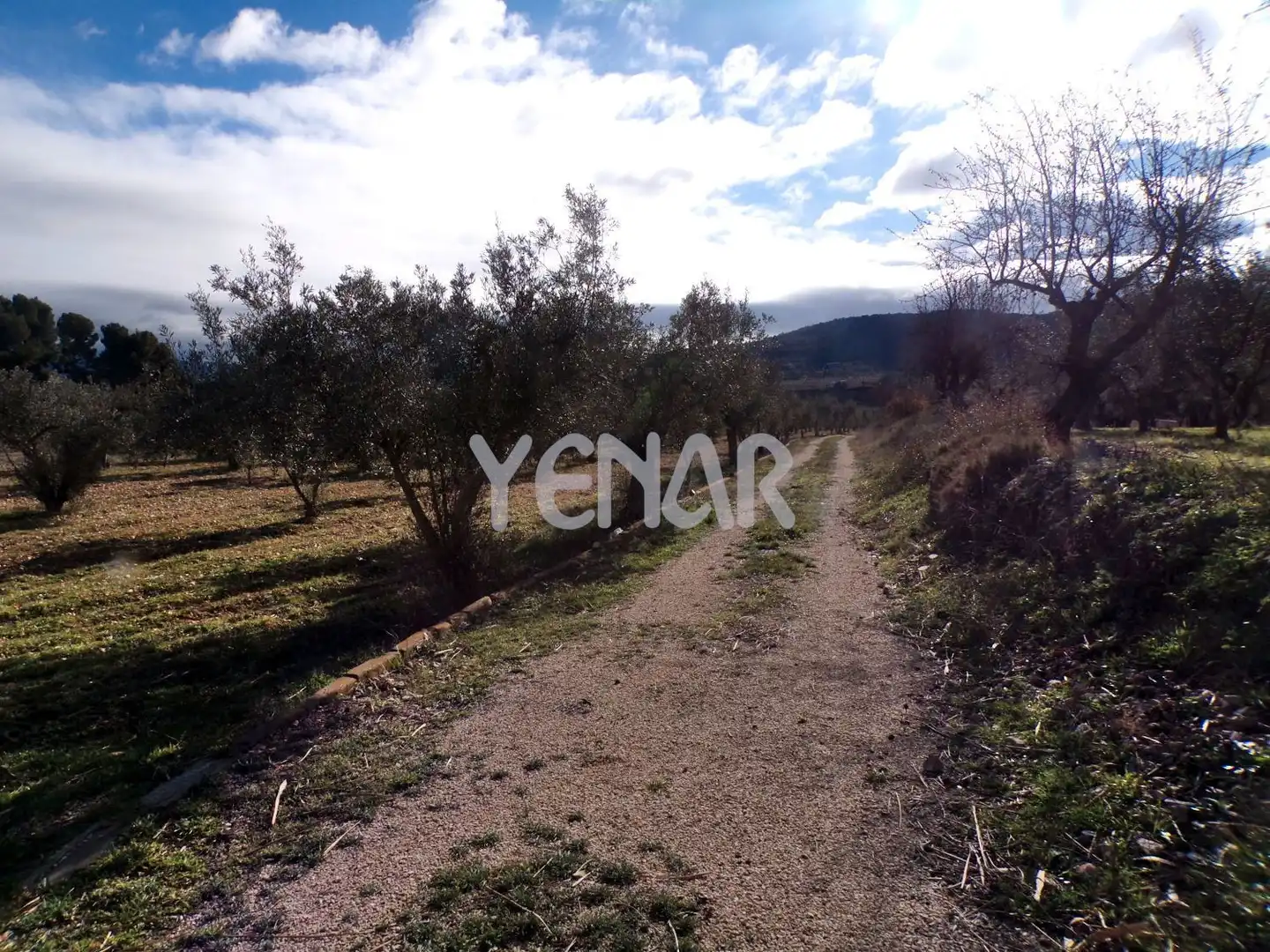 Terreny rústic en venda a Onil, imagen 3