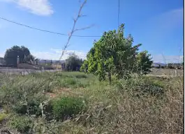 Terreny rústic en venda a C/ Escuelas, imagen 6