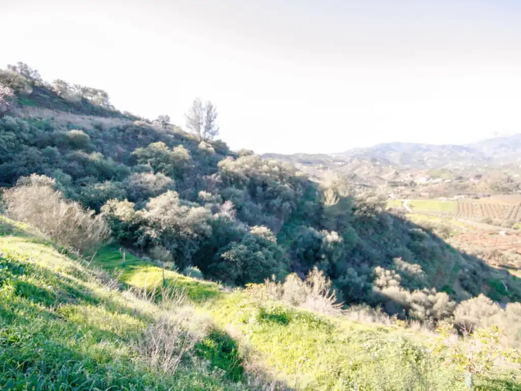 Casa rústica en venta en Partida Llano Comisario, imagen 6