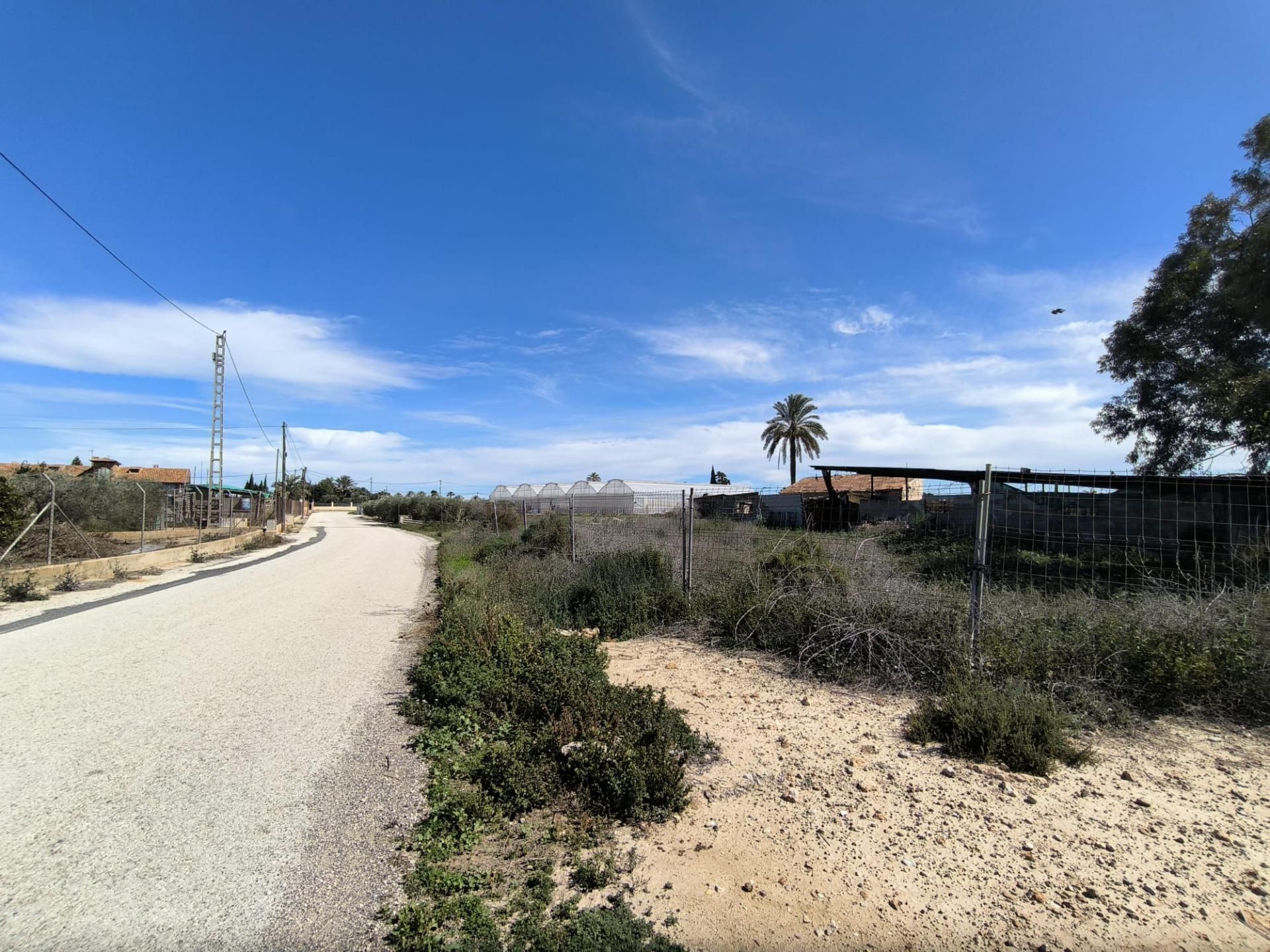 Land for sale in Elche / Elx