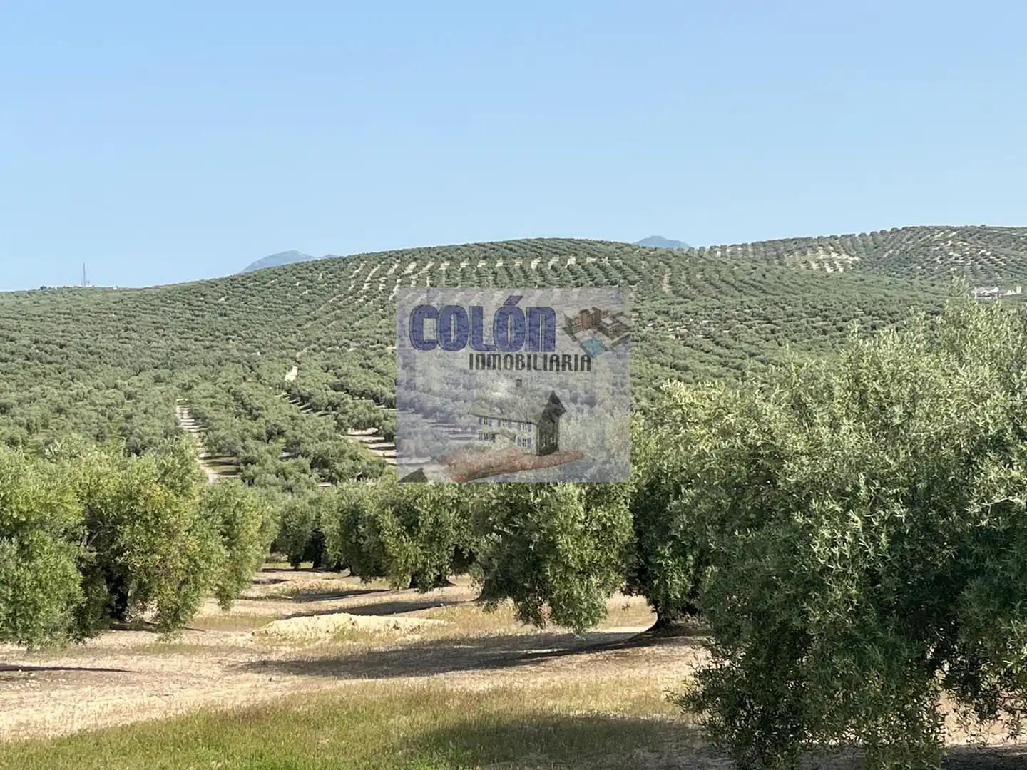 Terreni e lotti in vendita a Martos, imagen 3