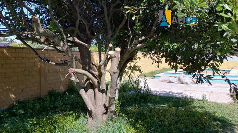 Foto 2 de Casa o chalet en venta en Barrio Nuevo, Cádiz