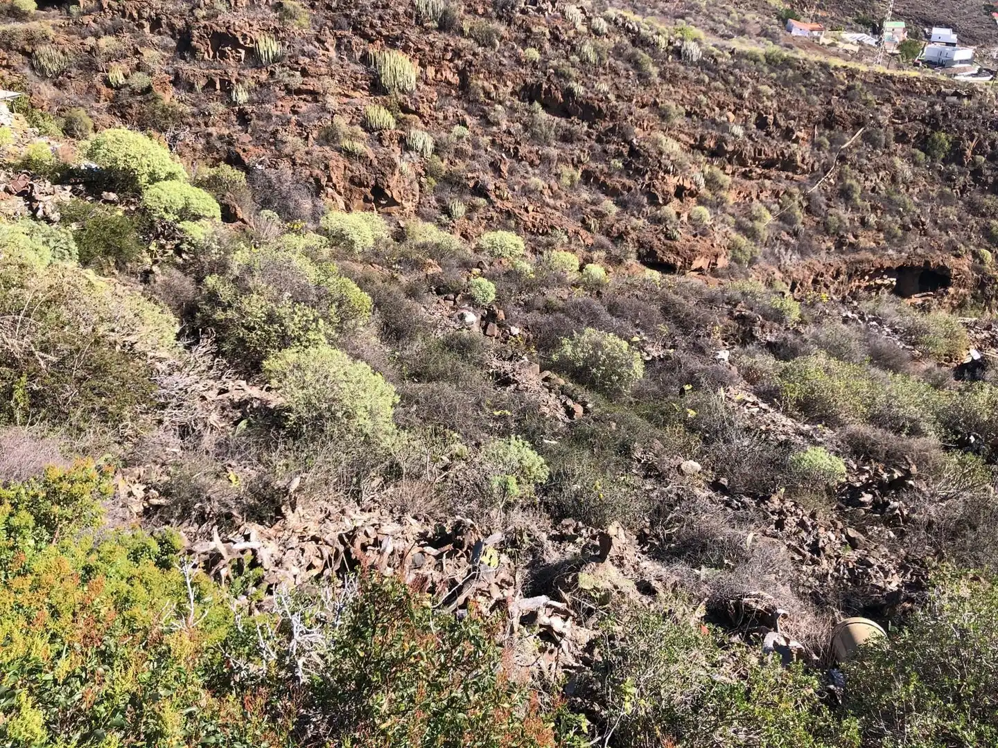 Exterior view of Land for sale in Candelaria