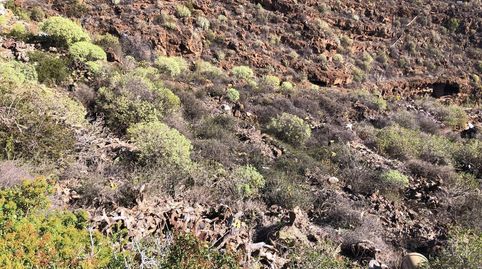 Photo 3 of Land for sale in Barranco Hondo, Candelaria