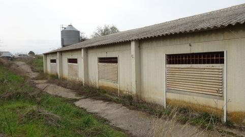 Foto 3 de Terreno industrial en venta en Lr-207, Rodezno, La Rioja