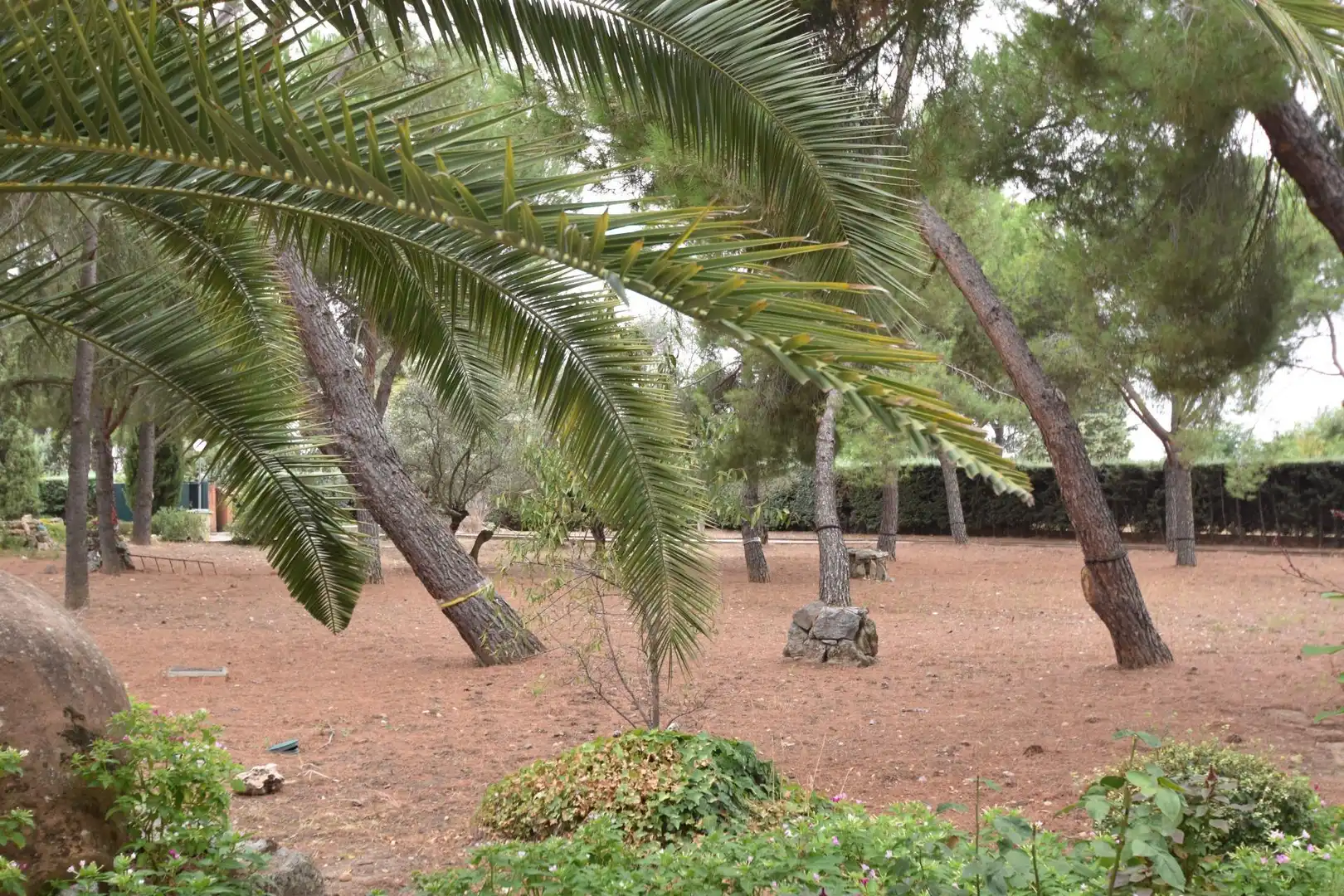 Casa o chalet en venta en Fuente El Saz de Jarama