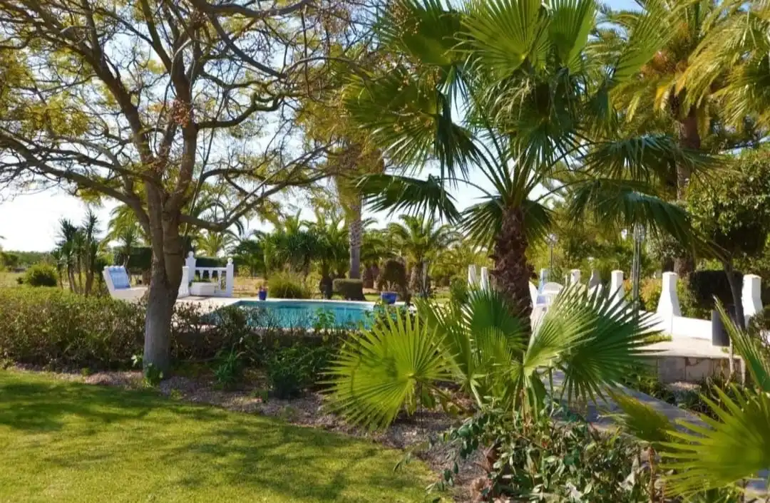Detached house with pool for sale in Boverals - Saldonar, imagen 6