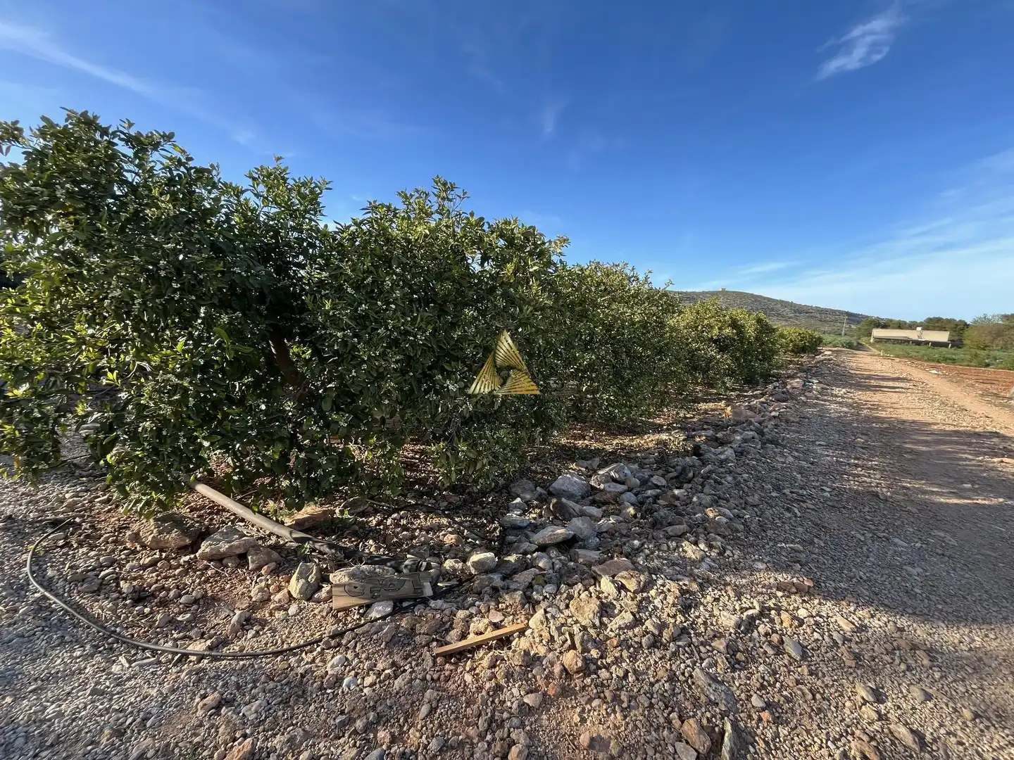 Terrenos y solares en venta en Pueblo, imagen 3