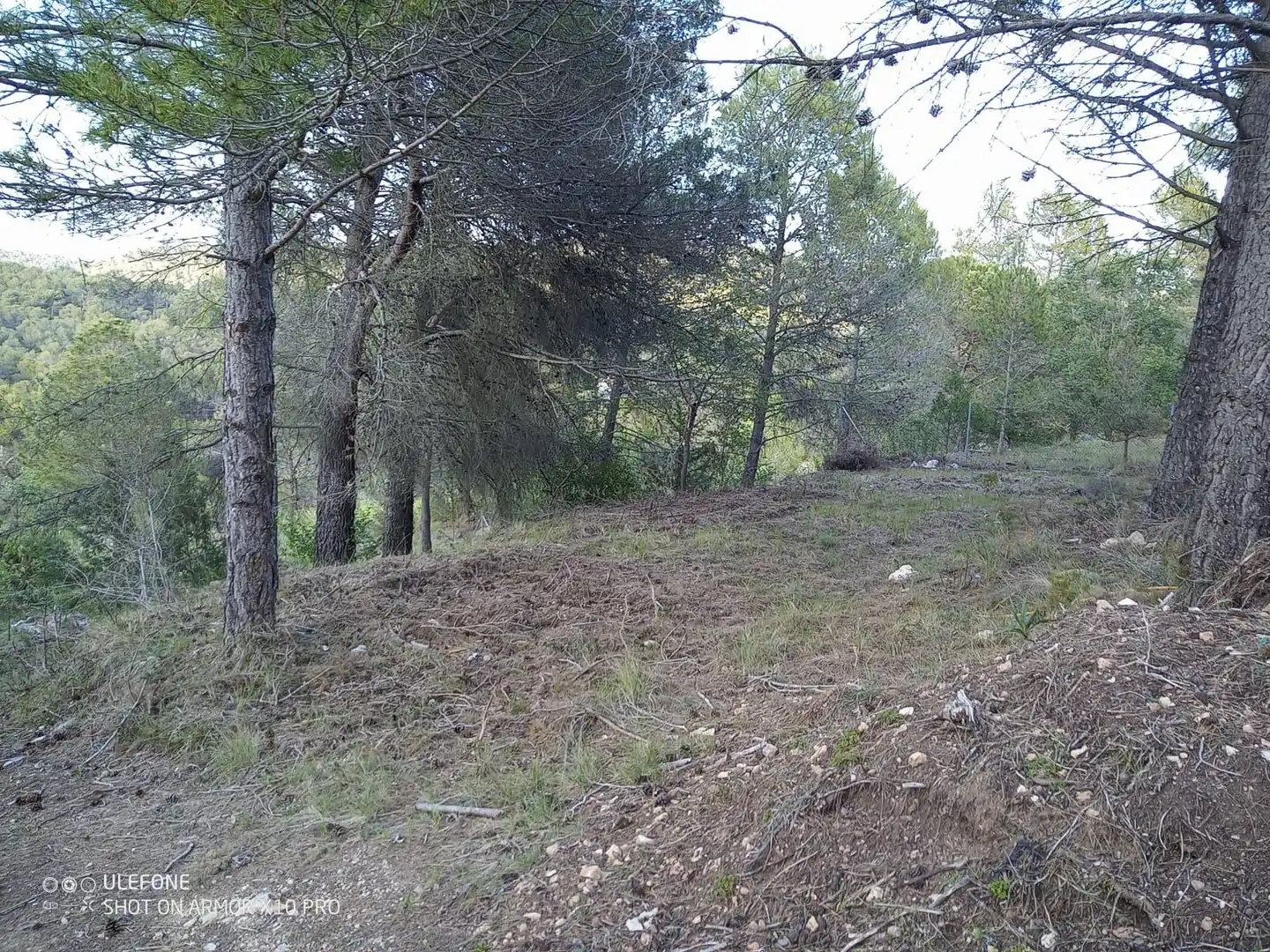 Terreno residencial en venta en Santa Oliva, imagen 4