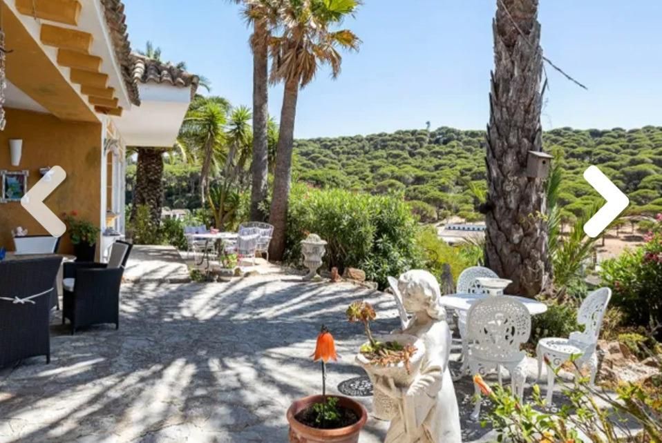 Garden of Country house for sale in Barbate  with Swimming Pool