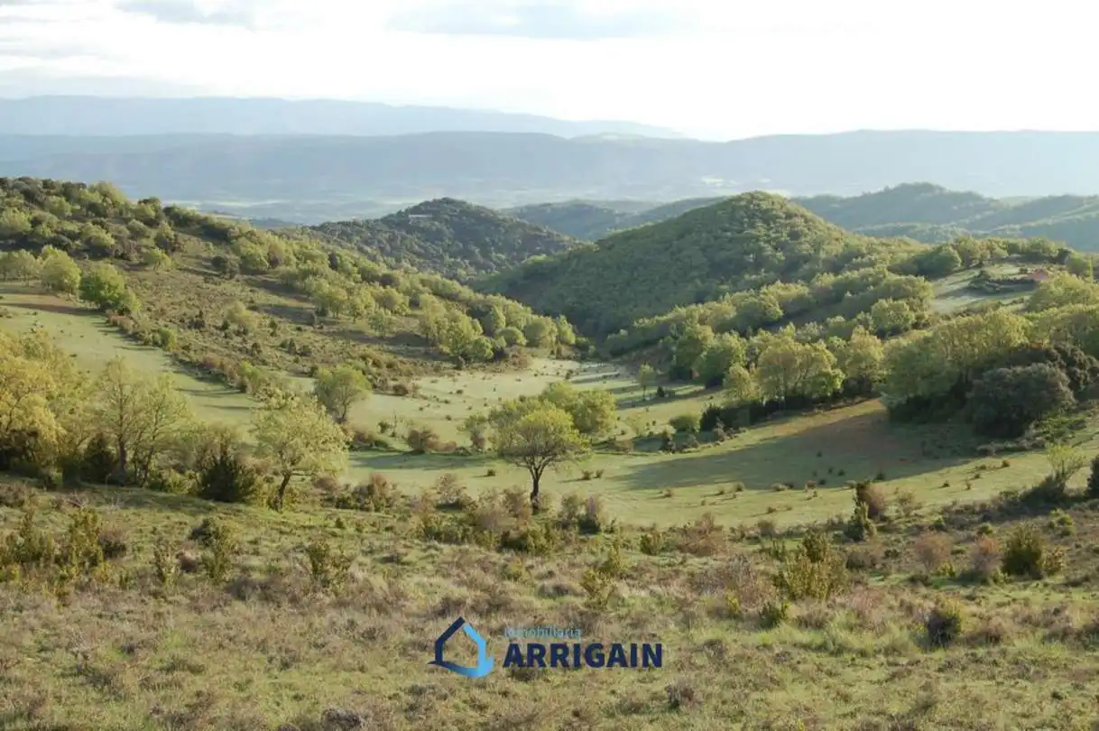 Casa o chalet en venta en La Moraleja con Jardín privado