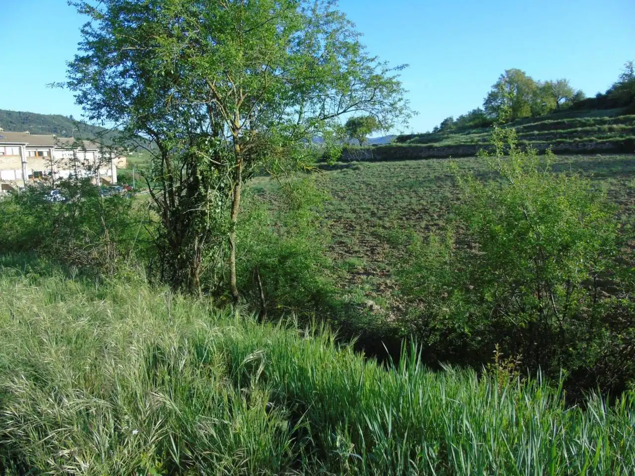 Terrain rustique à vendre à Castellterçol, imagen 7