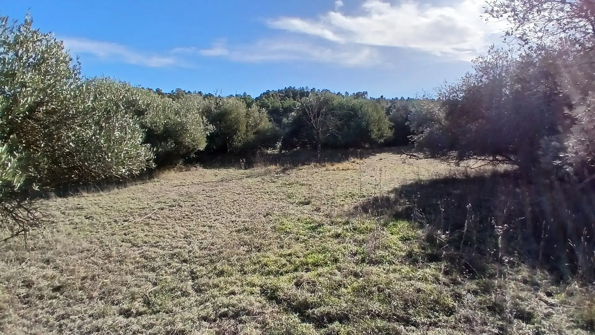 Terreni e lotti in vendita a Camino Fuente 5, imagen 12